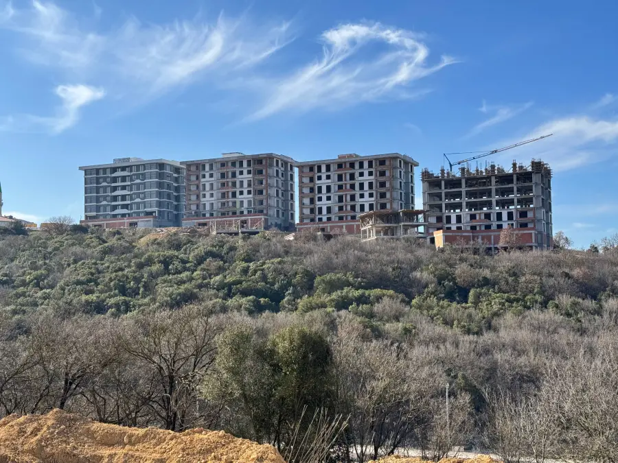 Alfa Tepe